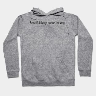 Beautiful things are on the way Hoodie